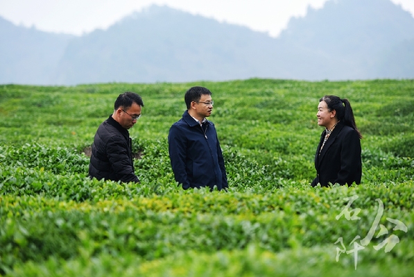 躬身為橋 緊盯供需連接山海 ——記廣東省粵黔協(xié)作工作隊銅仁工作組石阡小組組長，石阡縣委常委、副縣長李浩泉