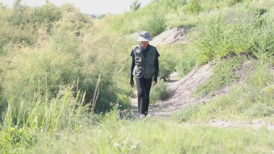 文化中國行｜日行三萬步 河北18歲少年用腳步丈量家鄉文化根脈